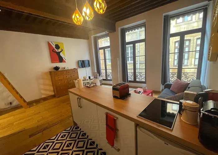 Le Cocon De Jacquard Apartment Lyon